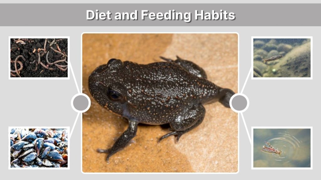 Diet and Feeding Habits