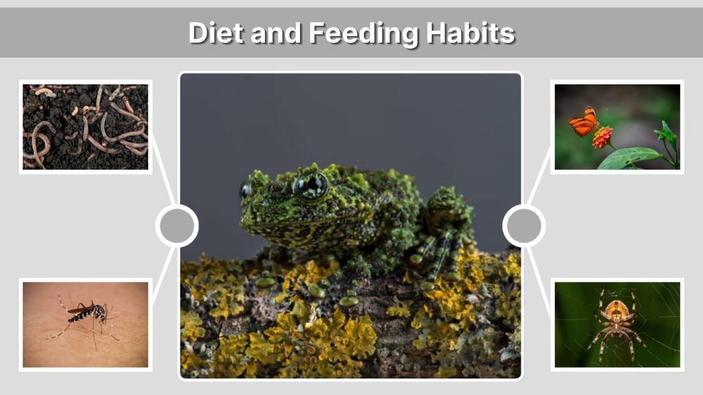 Diet and Feeding Habits