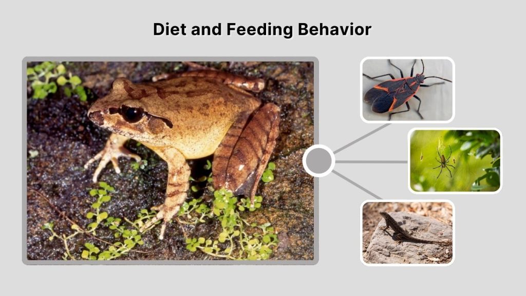 Diet and Feeding Behavior