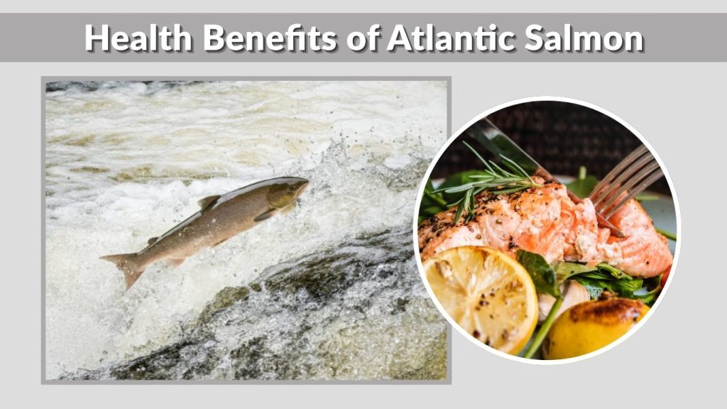 Health Benefits of Atlantic Salmon