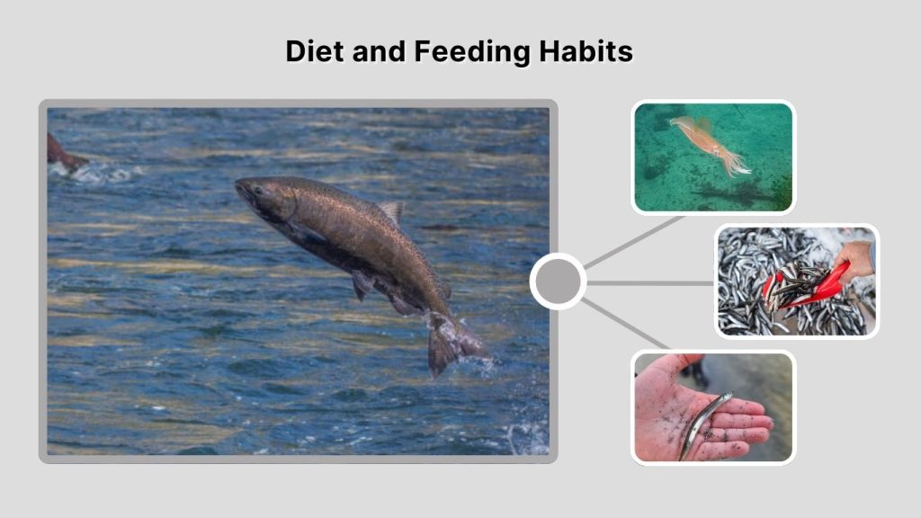 Diet and Feeding Habits