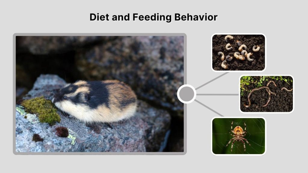 Diet and Feeding Behavior