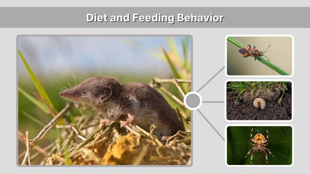 Diet and Feeding Behavior