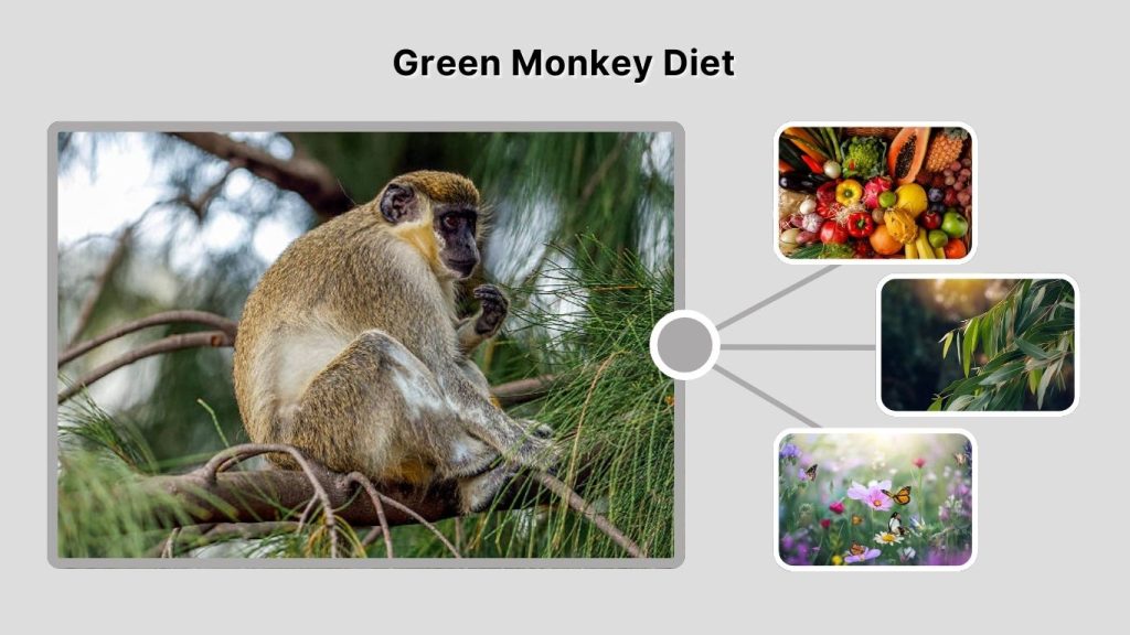 Green Monkey Diet