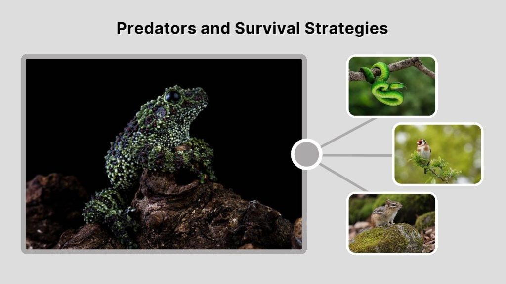 Predators and Survival Strategies