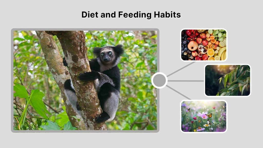 Diet and Feeding Habits