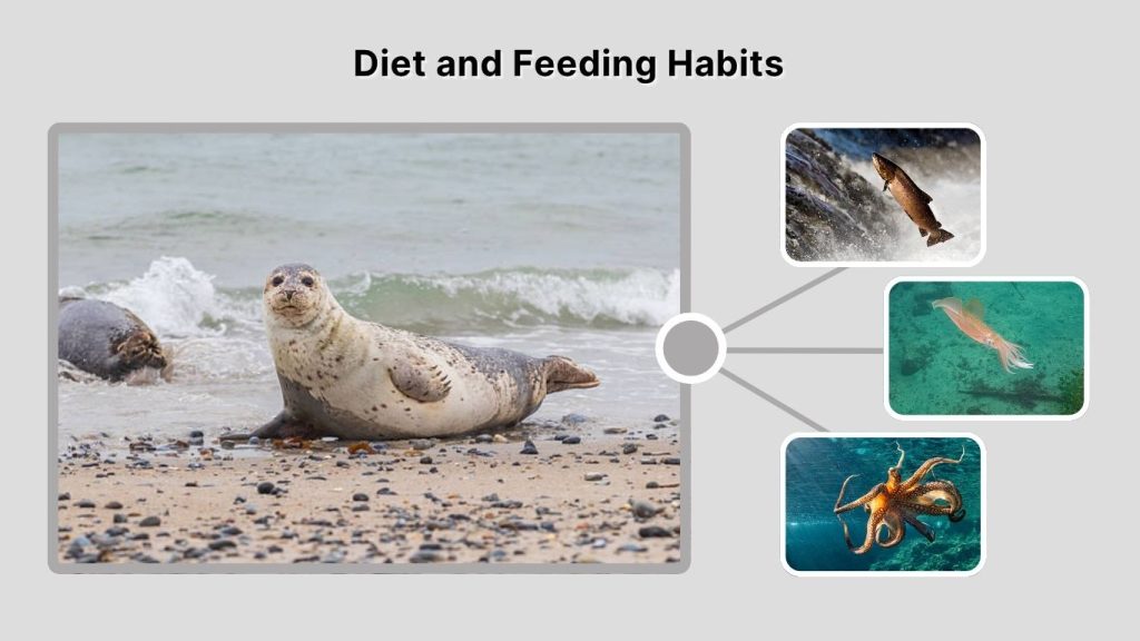 Diet and Feeding Habits