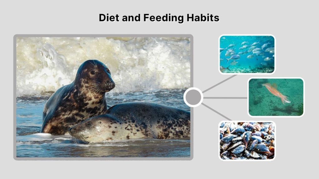 Diet and Feeding Habits