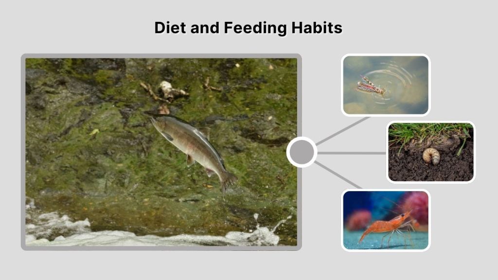 Diet and Feeding Habits