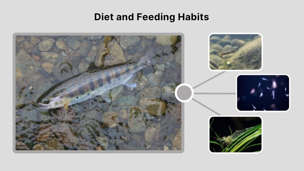 Diet and Feeding Habits