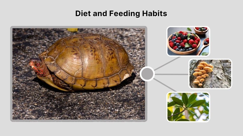 Diet and Feeding Habits
