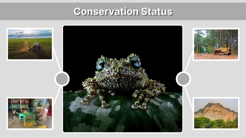 Conservation Status