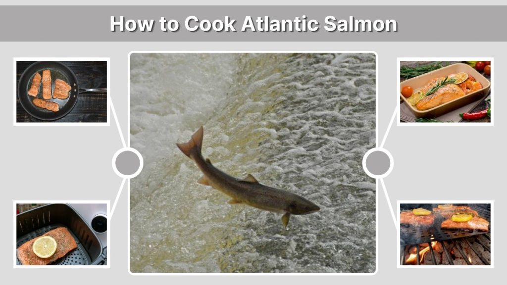 How to Cook Atlantic Salmon