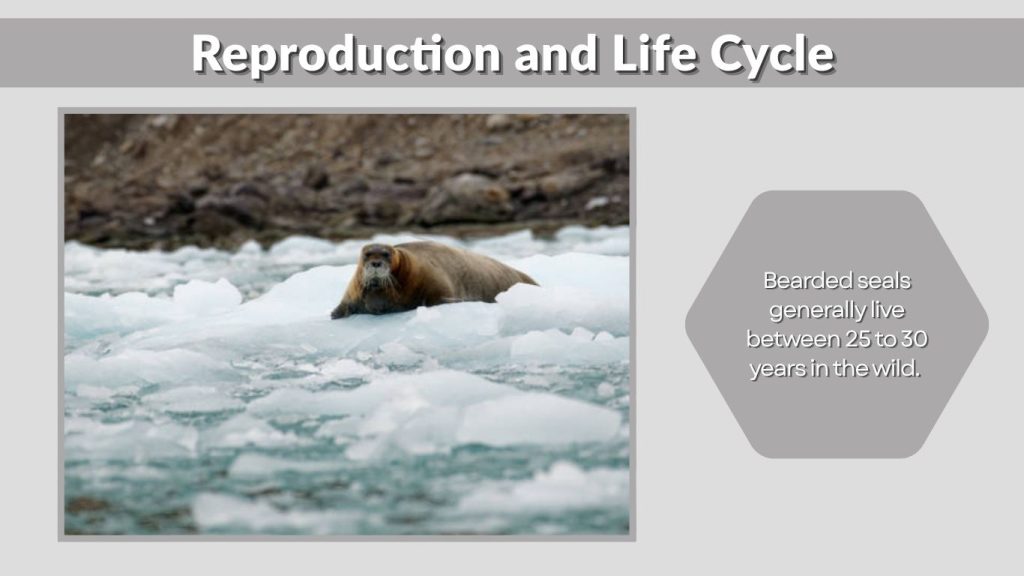 Reproduction and Life Cycle