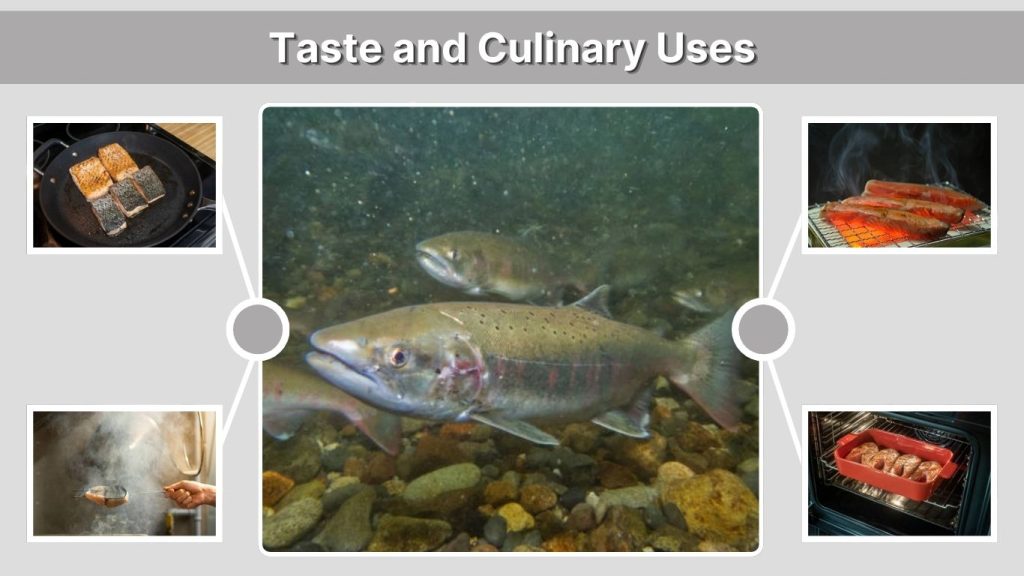 Taste and Culinary Uses