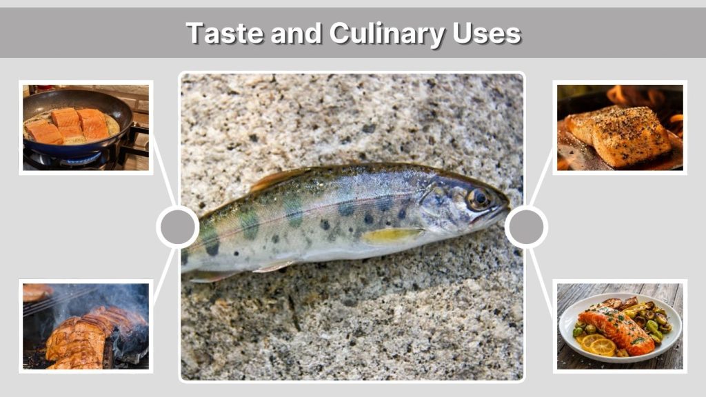 Taste and Culinary Uses
