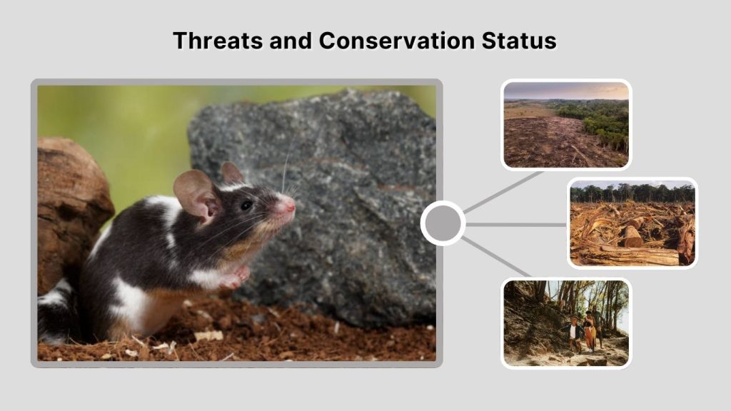 Threats and Conservation Status