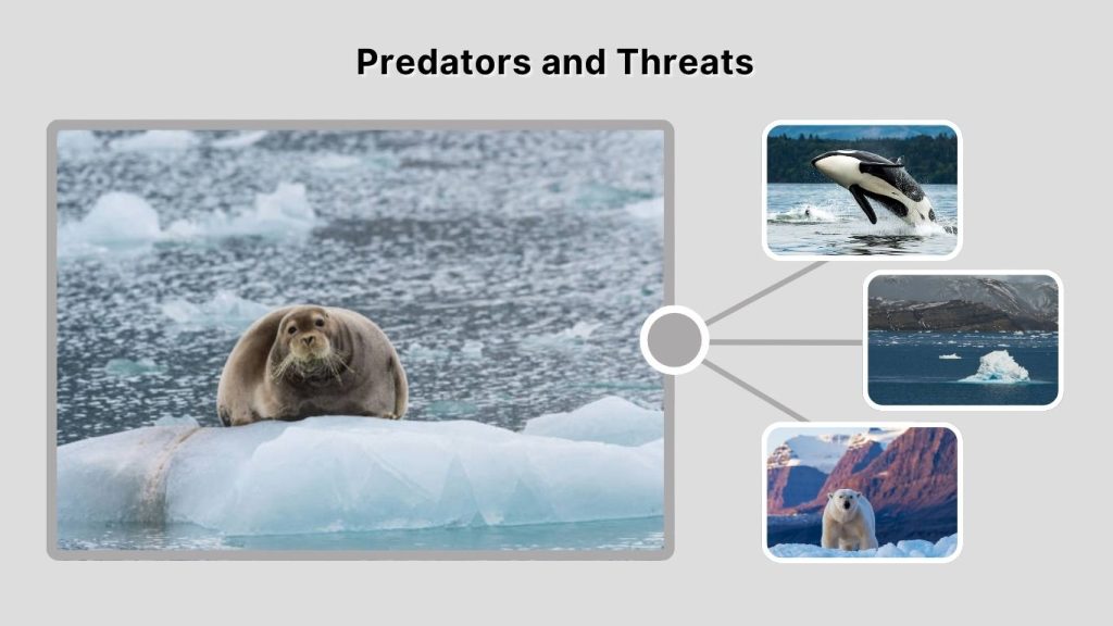 Predators and Threats