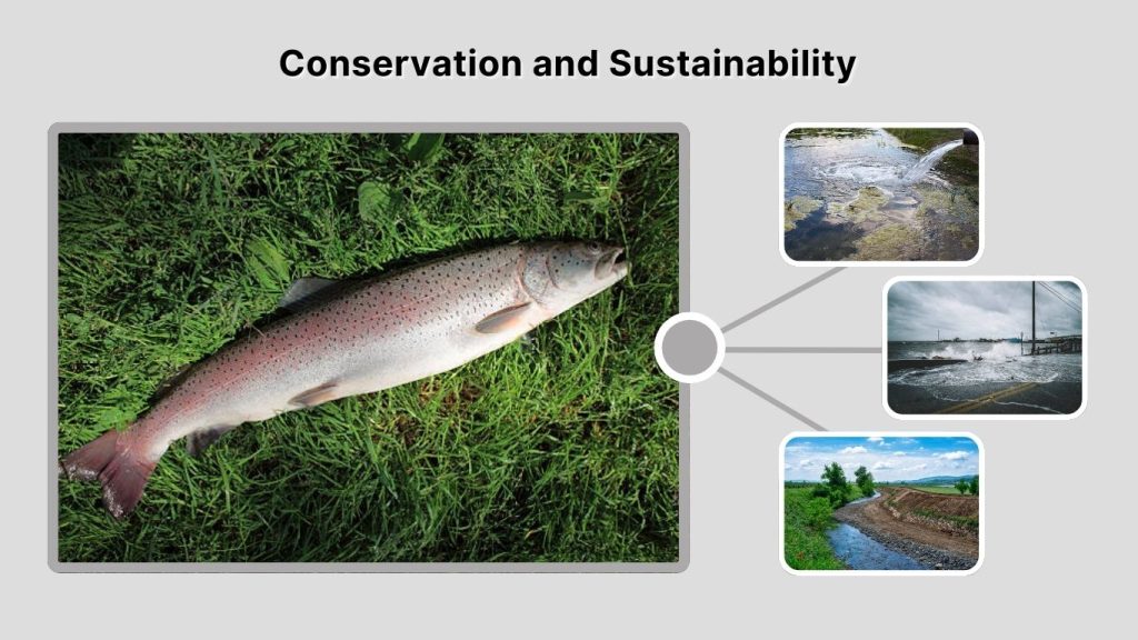 Conservation and Sustainability