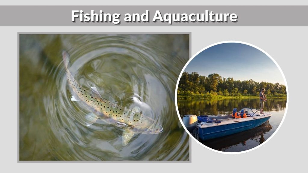 Fishing and Aquaculture