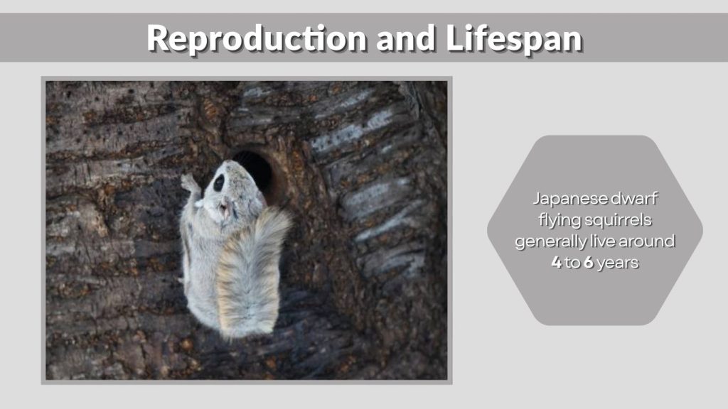 Reproduction and Lifespan