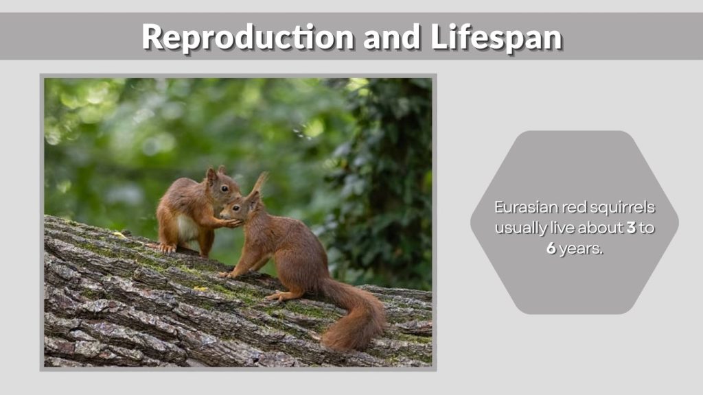 Reproduction and Lifespan