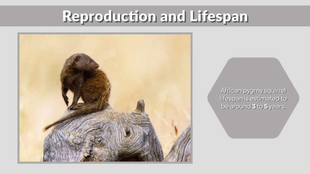 Reproduction and Lifespan