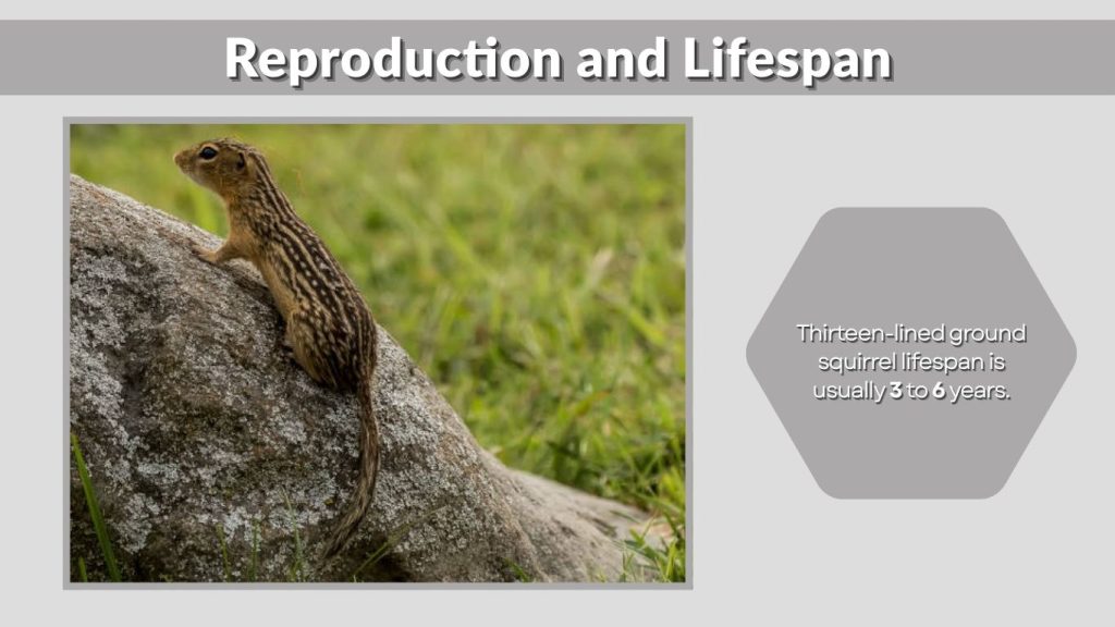 Reproduction and Lifespan