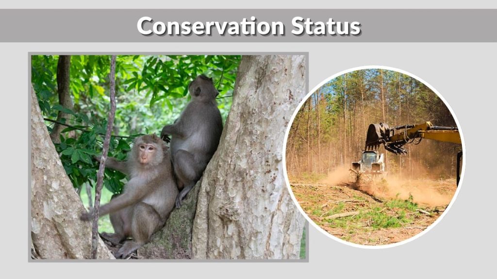 Conservation Status