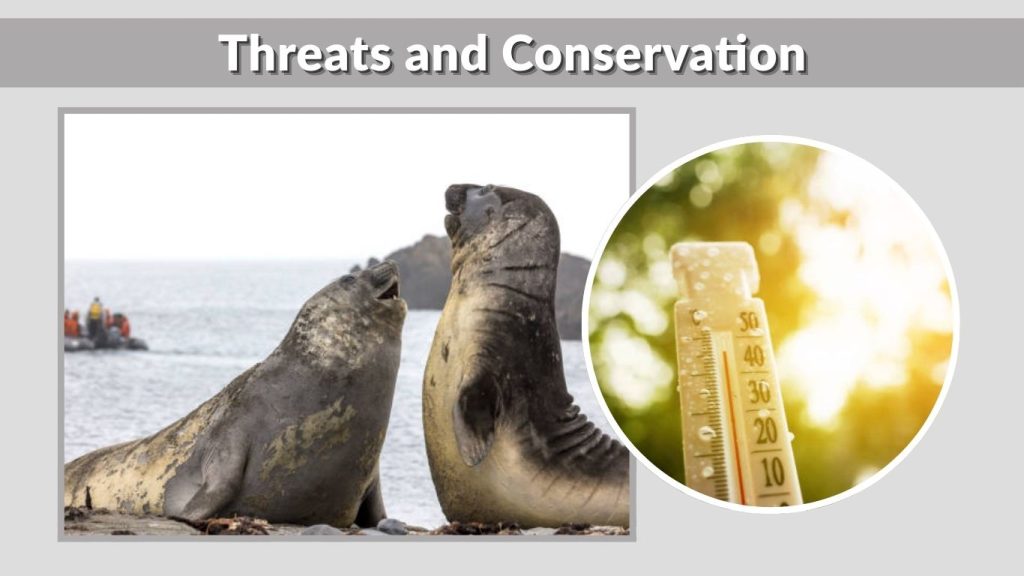 Threats and Conservation