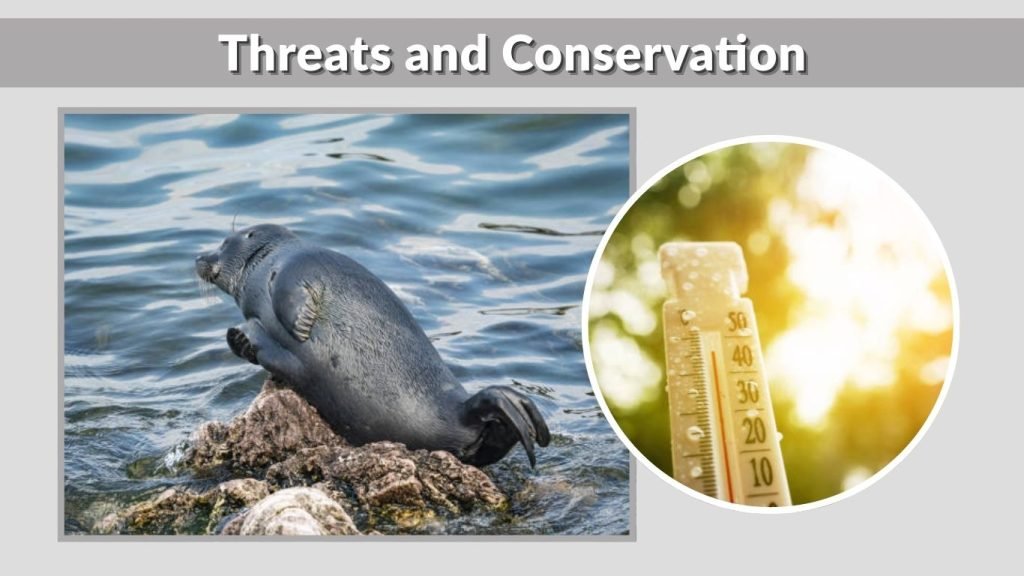 Threats and Conservation