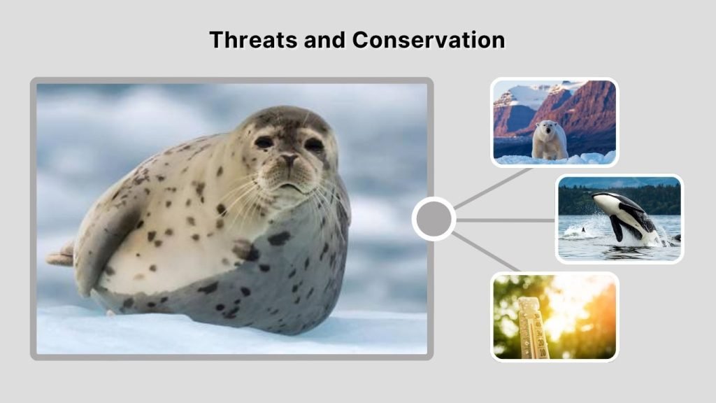 Threats and Conservation