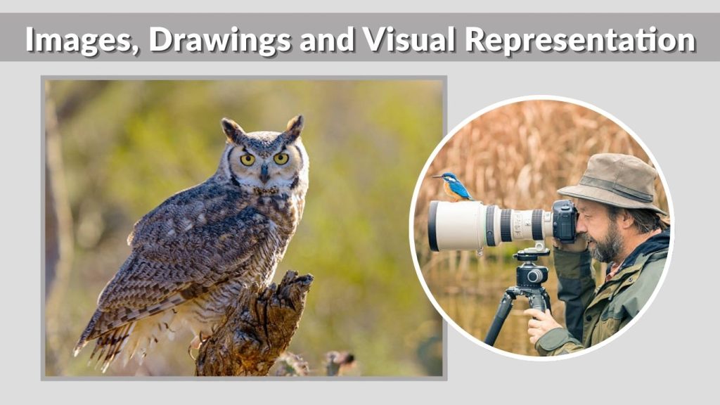 Images, Drawings and Visual Representation