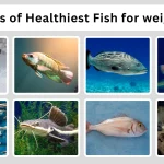15 Types of Healthiest Fish for weight loss (ID with Picture)