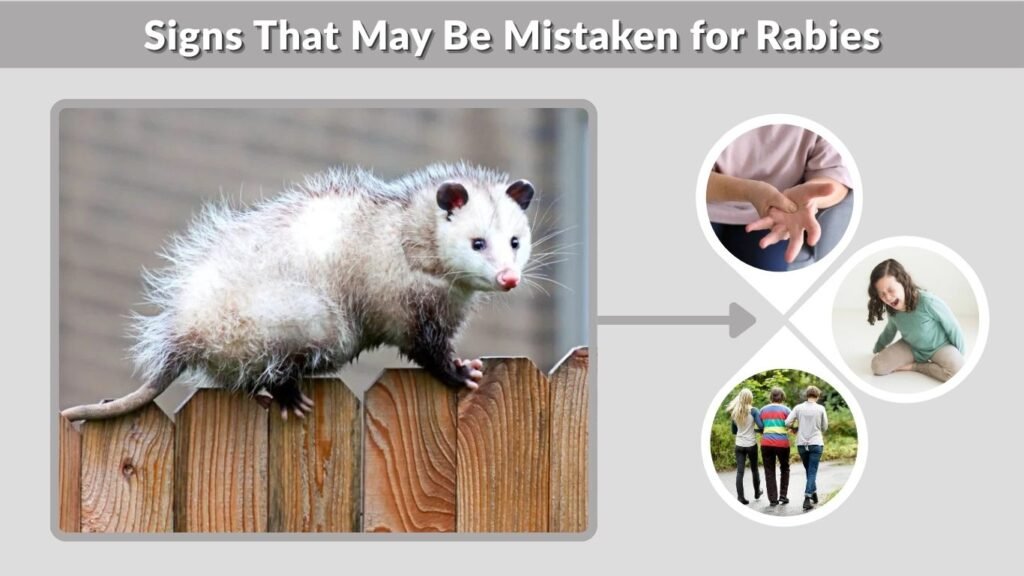 Signs That May Be Mistaken for Rabies