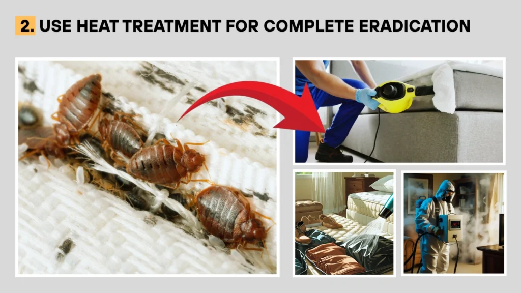 Use Heat Treatment for Complete Eradication