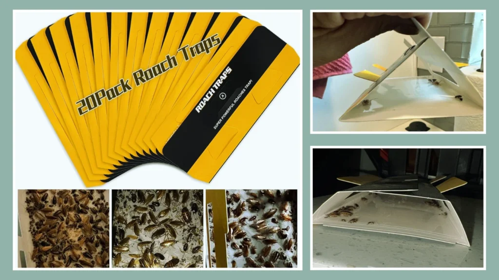 20‑Pack USKICH Roach Traps (Upgrade Recipe)