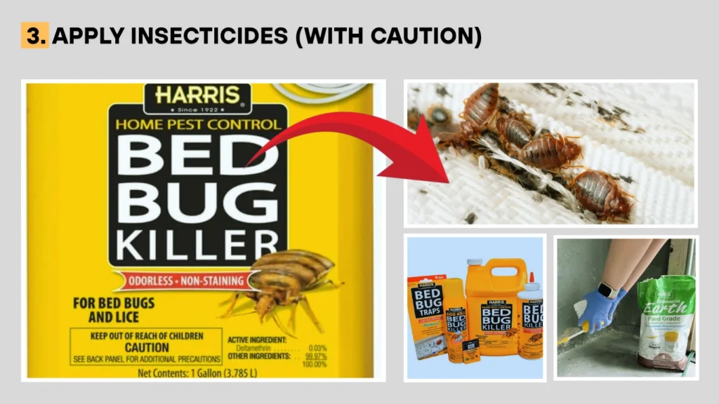 Apply Insecticides (With Caution)