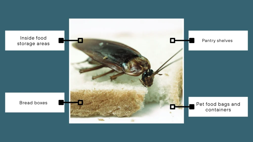 Damage to Food or Packaging