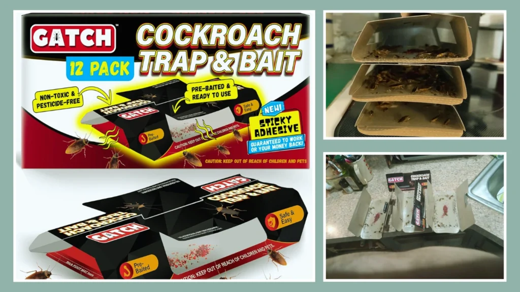GATCH Roach Trap (12‑Pack)