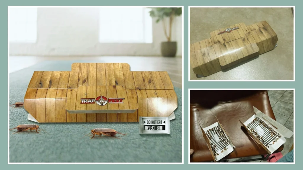 Heavy-Duty Roach Traps (Pack of 16)