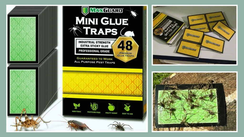 Pre‑Baited Foldable Roach Trap – 12‑Pack