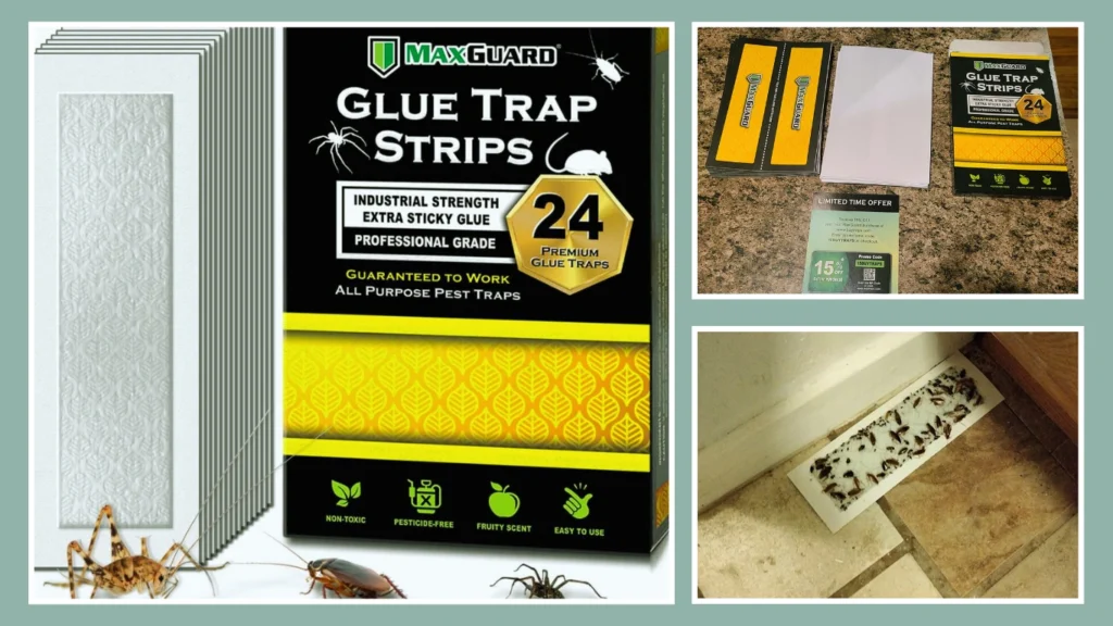 Pre‑Baited Non‑Toxic Roach Trap – 12‑Pack