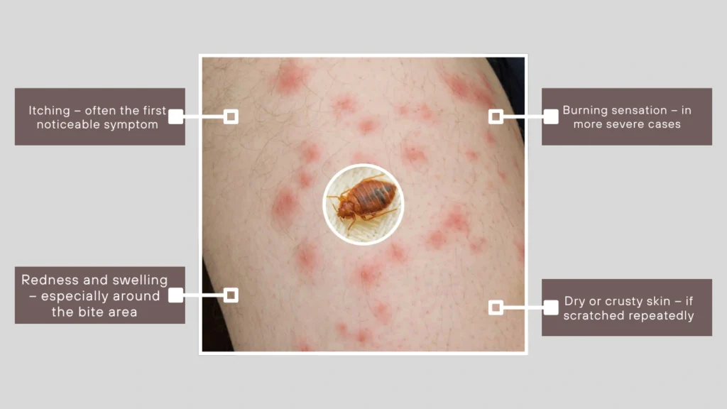 Symptoms and Reactions to Expect