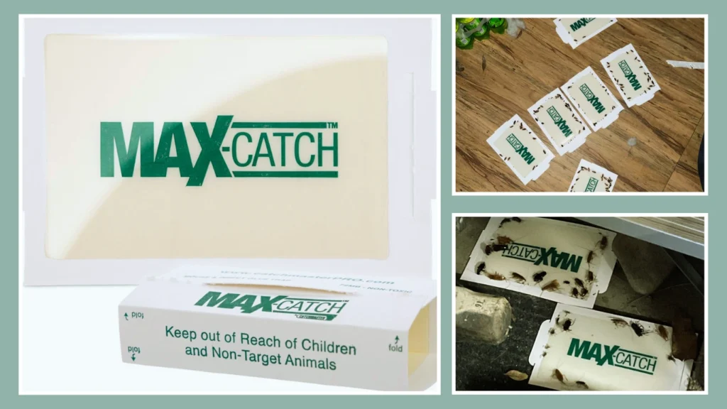 Terminix Sticky Mouse & Small Animal Traps (72‑Pack)