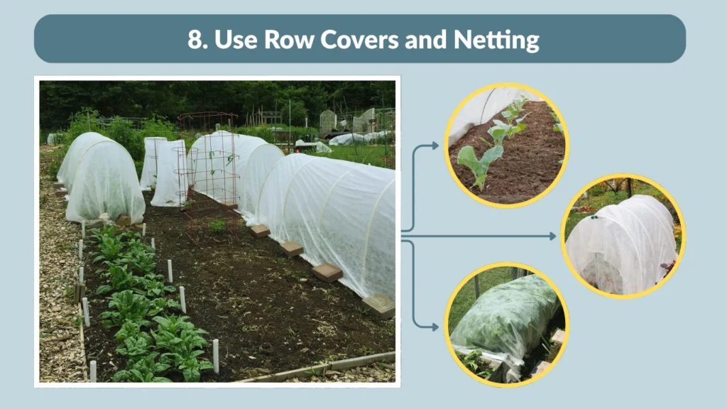 8. Use Row Covers and Netting