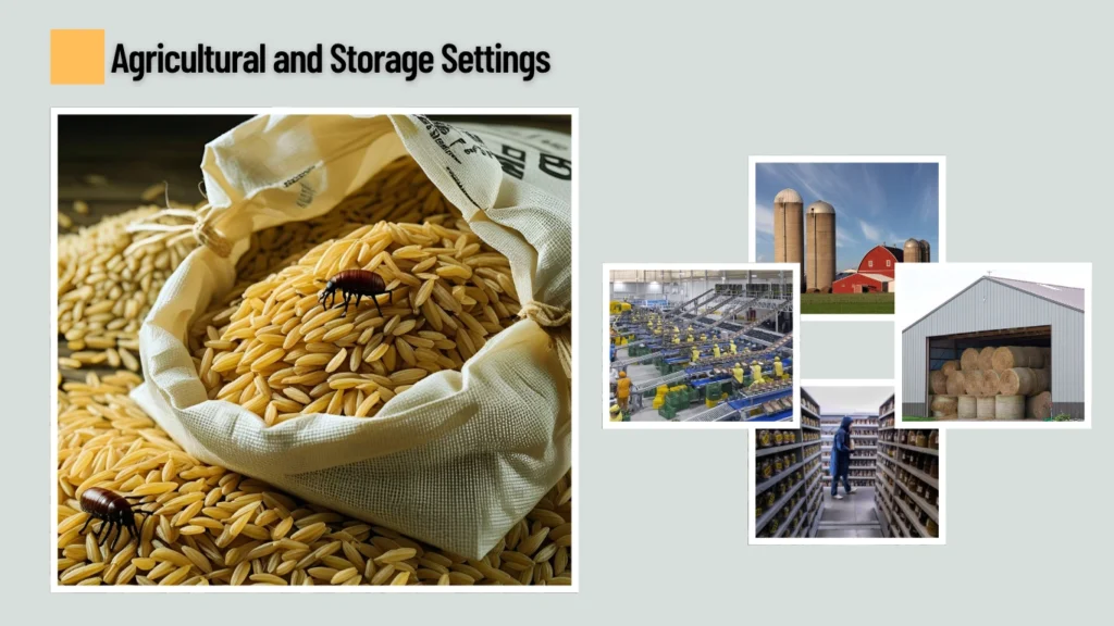 Agricultural and Storage Settings