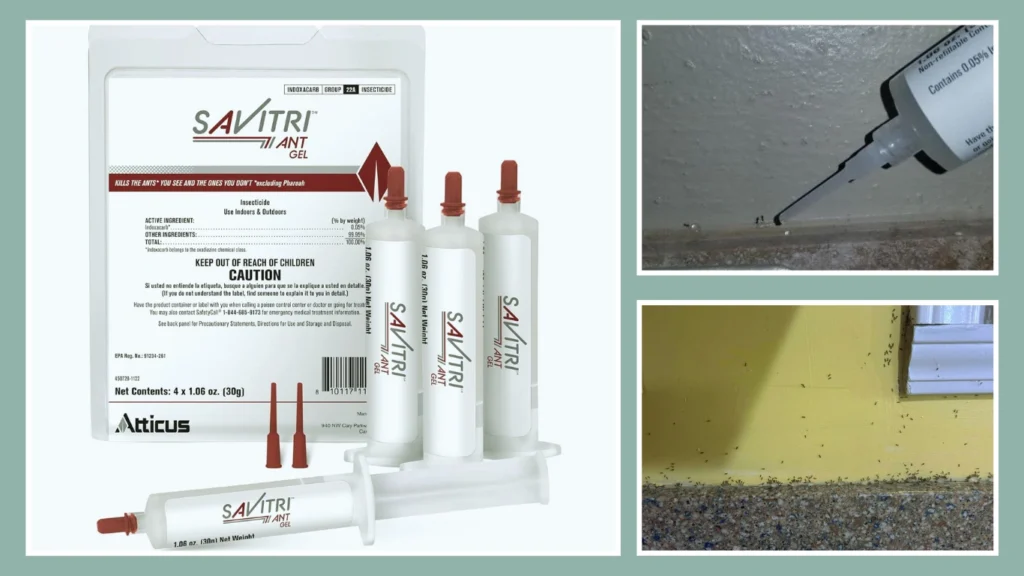 Atticus Savitri Ant Gel Bait (4 x 30g Tubes)