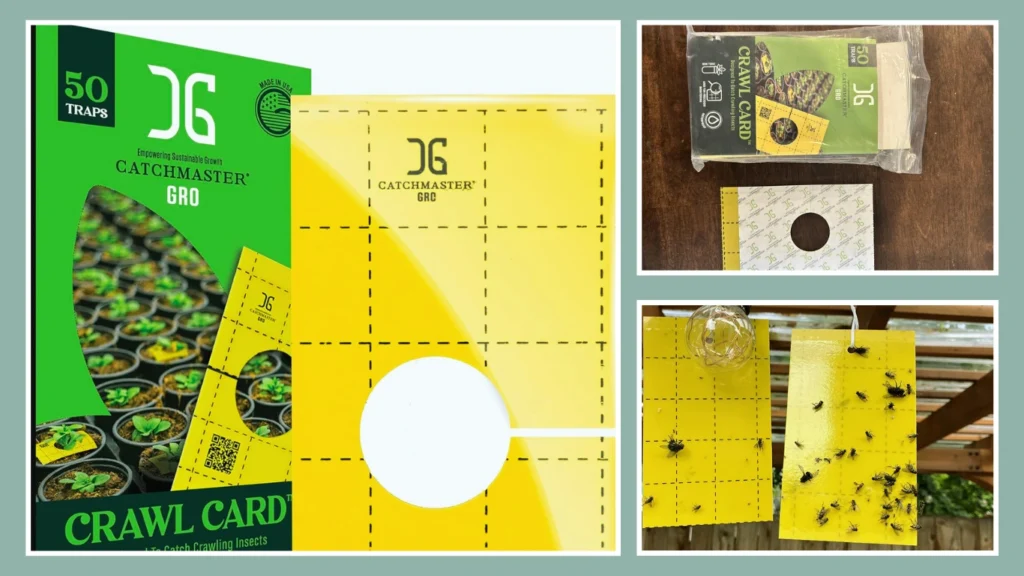 Catchmaster Cricket Adhesive Catcher Trap