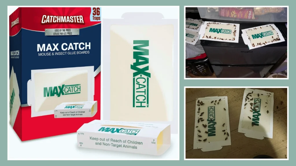 Catchmaster Max-Catch Mouse & Insect Glue Trap (36-Pack)